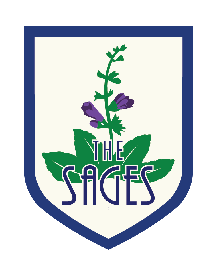 Akademi Sages